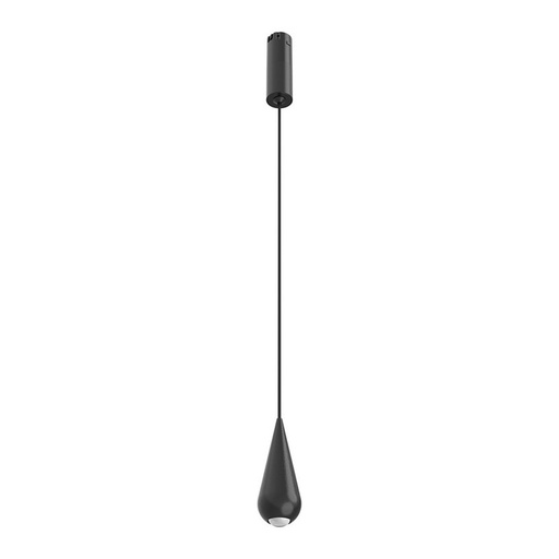 [ACU PTD 242605-3K-B-D] PONTO D